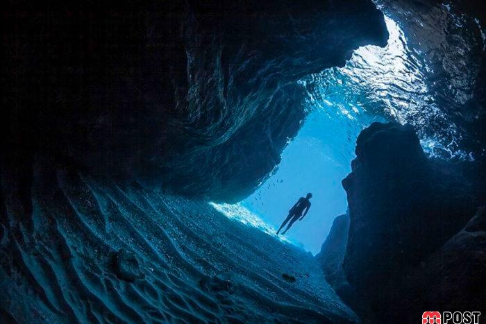 برنده مسابقه عکاسی زیر آب ؛میهمانی ماهی ها در دهان کوسه نهنگ 7 مسابقه عکاسی زیر آب