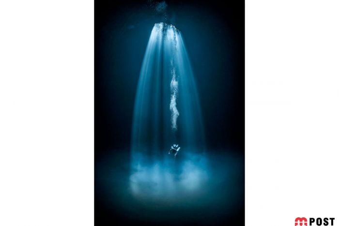 برنده مسابقه عکاسی زیر آب ؛میهمانی ماهی ها در دهان کوسه نهنگ 13 مسابقه عکاسی زیر آب