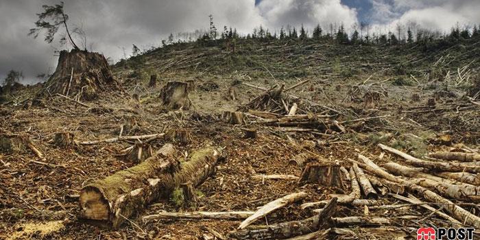 گرمایش جهانی در بوجودآوردن ویروس کرونا نقش داشته است 2 گرمایش جهانی
