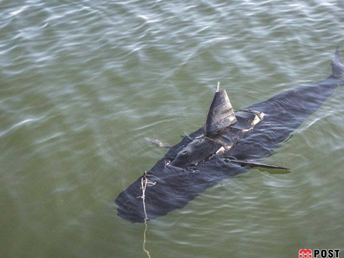 چارلی، یکی از پیشرفته ترین زیردریایی های جاسوسی آمریکا 2 زیردریایی های جاسوسی آمریکا