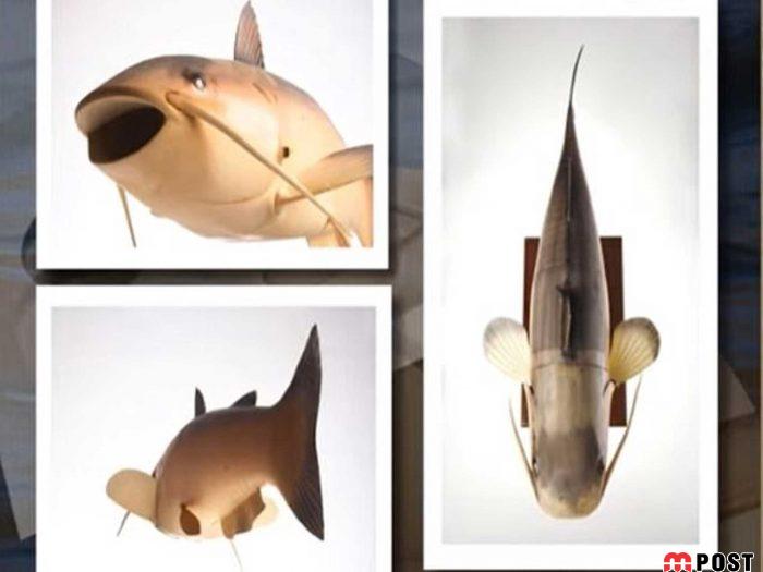 چارلی، یکی از پیشرفته ترین زیردریایی های جاسوسی آمریکا 3 زیردریایی های جاسوسی آمریکا