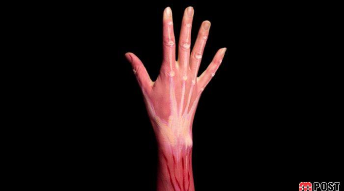 مزایا و فواید ورزش هوازی ایروبیک بر سلامت جسم و ذهن 5 فواید ورزش هوازی ایروبیک