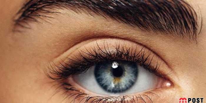 ۷ اشتباه روزانه ای که سلامت چشم شما را تهدید می کند 17 سلامت چشم