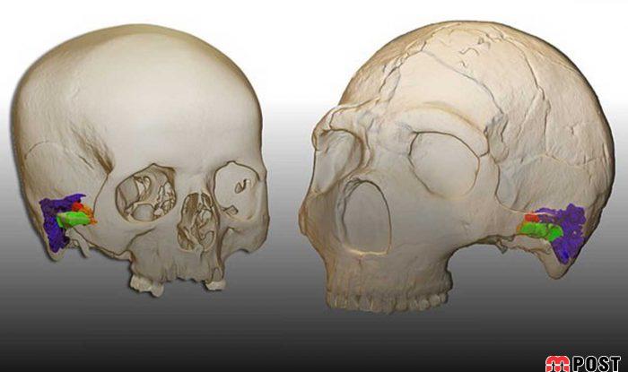 انسان های نئاندرتال مانند انسان های امروزی صحبت می کردند 3 انسان های نئاندرتال