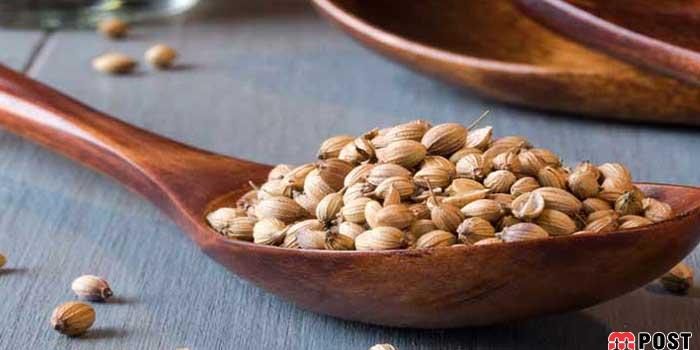 خواص تخم گشنیز برای سلامتی پوست و مو و درمان انواع بیماری ها 8 خواص تخم گشنیز