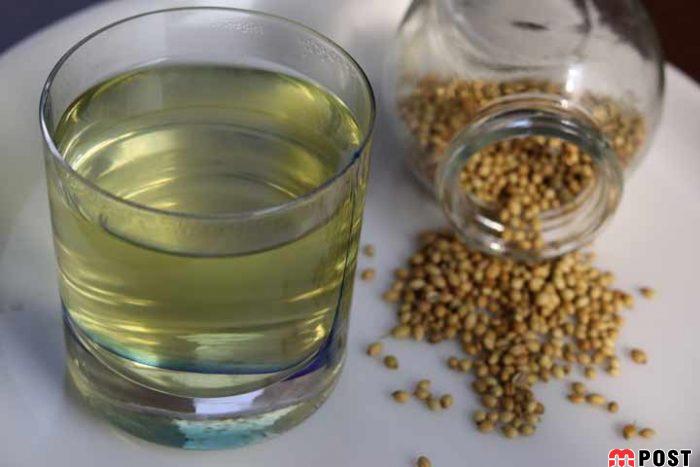 خواص تخم گشنیز