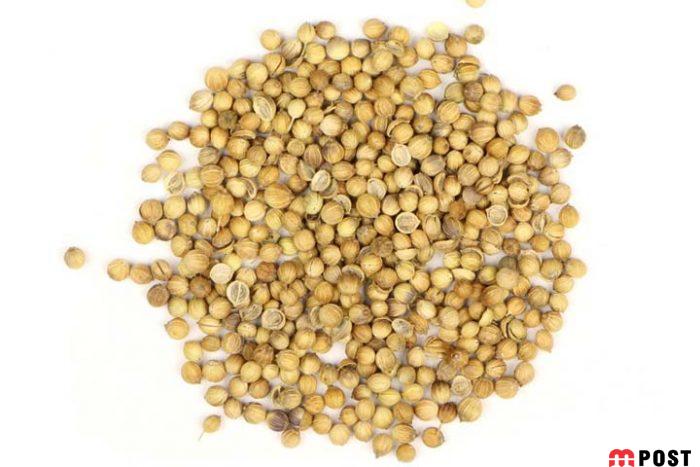 خواص تخم گشنیز