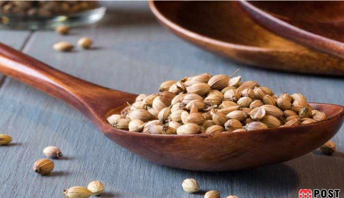 خواص تخم گشنیز برای سلامتی پوست و مو و درمان انواع بیماری ها 2 خواص تخم گشنیز