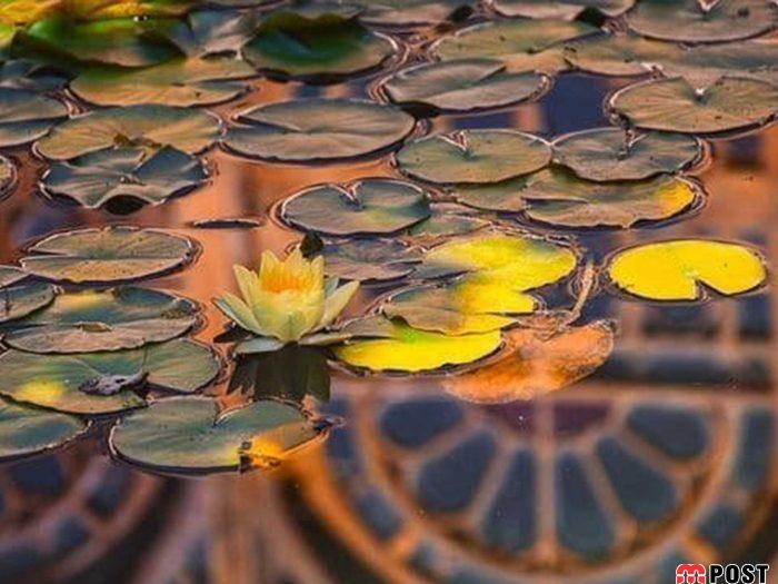 معرفی خانه منطقی نژاد شیراز یکی از زیباترین معماری های دوره قاجار 2 خانه منطقی نژاد شیراز