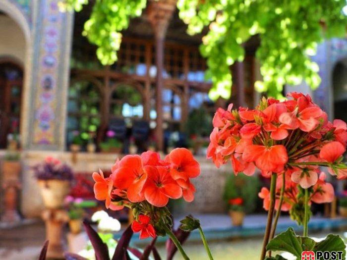 خانه منطقی نژاد شیراز