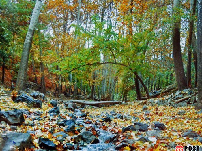 تنگ بستانک فارس بهشت گمشده ای در ایران + عکس 8 تنگ بستانک فارس