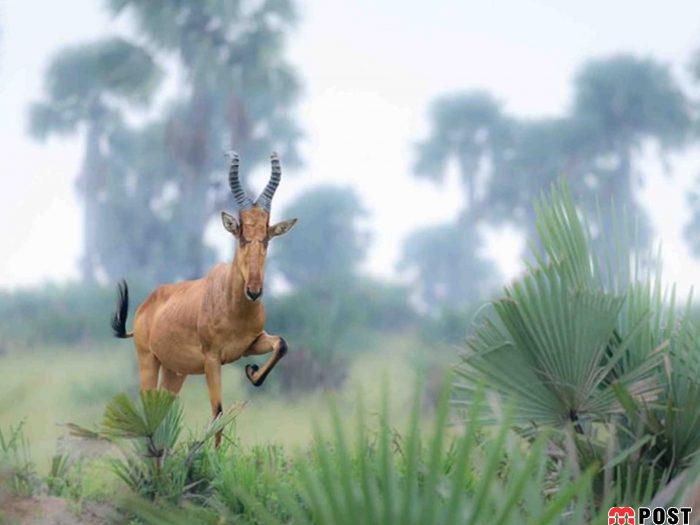 نگاهی به برترین و زیباترین عکس های طبیعت در سال ۲۰۲۰ 30 زیباترین عکس های طبیعت