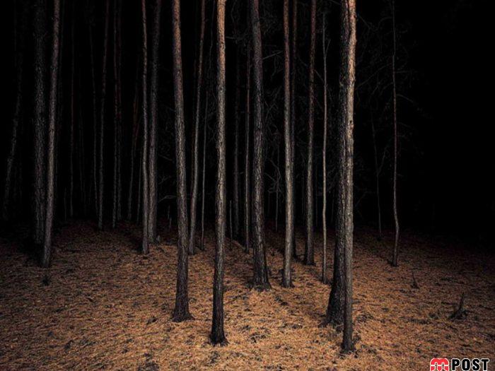 نگاهی به برترین و زیباترین عکس های طبیعت در سال ۲۰۲۰ 21 زیباترین عکس های طبیعت