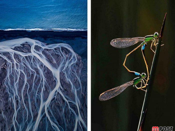 نگاهی به برترین و زیباترین عکس های طبیعت در سال ۲۰۲۰ 16 زیباترین عکس های طبیعت