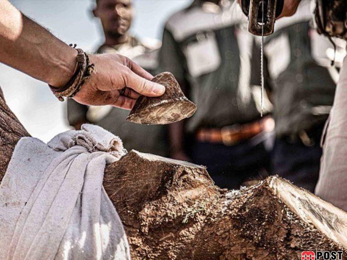 نگاهی به برترین و زیباترین عکس های طبیعت در سال ۲۰۲۰ 11 زیباترین عکس های طبیعت