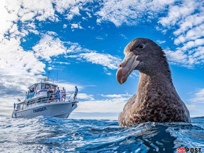 نگاهی به برترین و زیباترین عکس های طبیعت در سال ۲۰۲۰ 7 زیباترین عکس های طبیعت