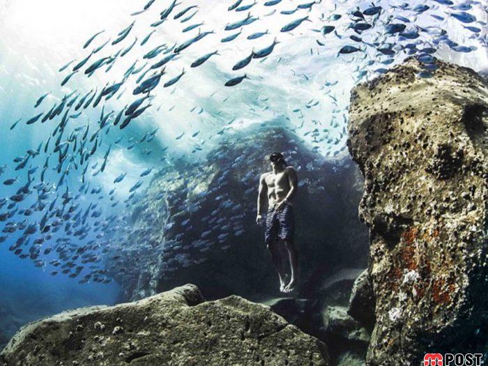 نگاهی به برترین و زیباترین عکس های طبیعت در سال ۲۰۲۰ 5 زیباترین عکس های طبیعت