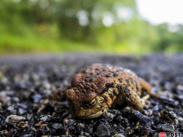 نگاهی به برترین و زیباترین عکس های طبیعت در سال ۲۰۲۰ 24 زیباترین عکس های طبیعت