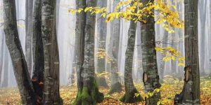 زیباترین عکس های طبیعت