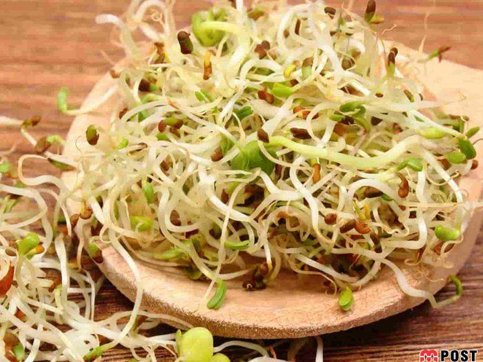 ارزش غذایی و فواید جوانه ها برای حفظ سلامتی و کاهش وزن 3 فواید جوانه ها