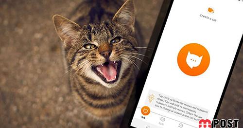 ترجمه صدای گربه ها با استفاده از برنامه MeowTalk ممکن شد ؟! 2 ترجمه صدای گربه ها