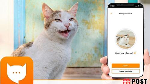ترجمه صدای گربه ها با استفاده از برنامه MeowTalk ممکن شد ؟! 4 ترجمه صدای گربه ها
