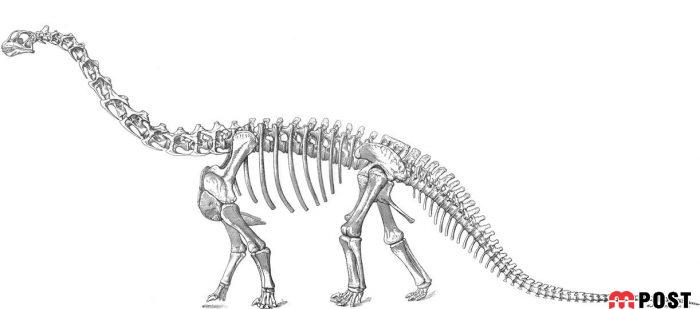 نگاهی به داستان کشف قاره ای گمشده بعد از ۳۷۵ سال 5 کشف قاره ای گمشده