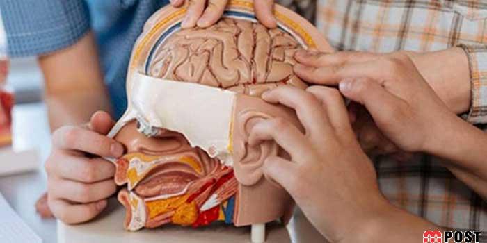 تغییرات تاریخی بدن انسان که شما را شگفت زده خواهد کرد 10 تغییرات تاریخی بدن انسان