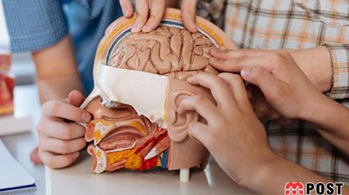 تغییرات تاریخی بدن انسان که شما را شگفت زده خواهد کرد 2 تغییرات تاریخی بدن انسان