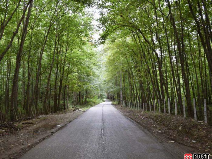 معرفی دریاچه الیمالات و هر آنچه باید درباره این دریاچه بدانید 6 معرفی دریاچه الیمالات