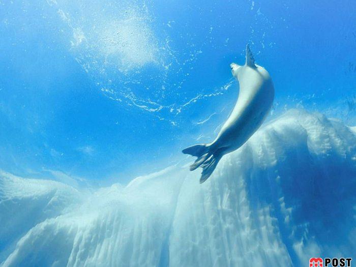 عکس های طبیعت و انسان که در مسابقه عکاسی انتخاب شدند 3 عکس های طبیت