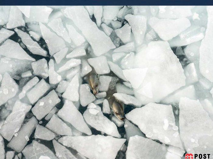 عکس های طبیعت و انسان که در مسابقه عکاسی انتخاب شدند 13 عکس های طبیت