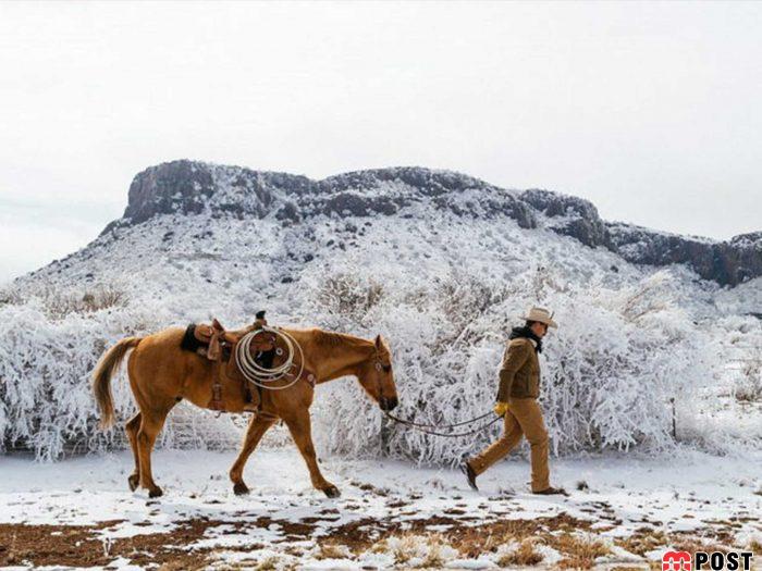 عکس های طبیعت و انسان که در مسابقه عکاسی انتخاب شدند 15 عکس های طبیت