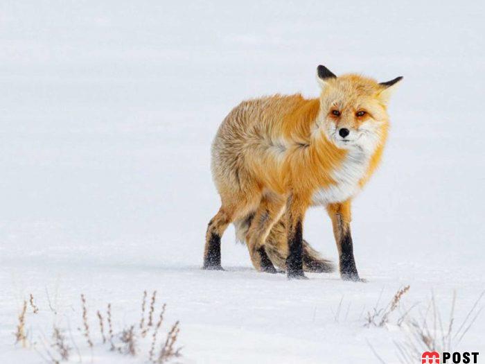 عکس های طبیعت و انسان که در مسابقه عکاسی انتخاب شدند 8 عکس های طبیت