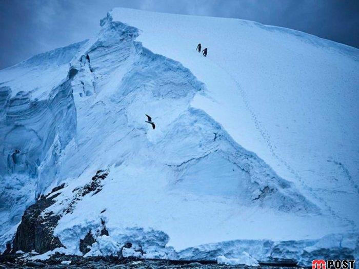 عکس های طبیعت و انسان که در مسابقه عکاسی انتخاب شدند 16 عکس های طبیت