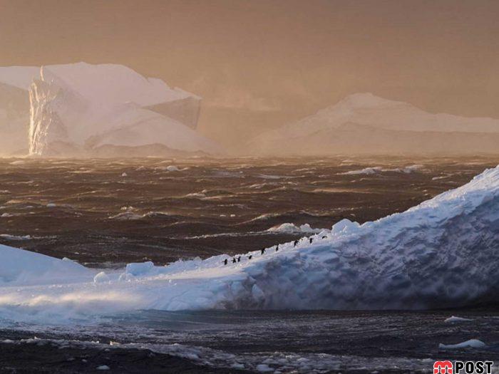 عکس های طبیعت و انسان که در مسابقه عکاسی انتخاب شدند 9 عکس های طبیت