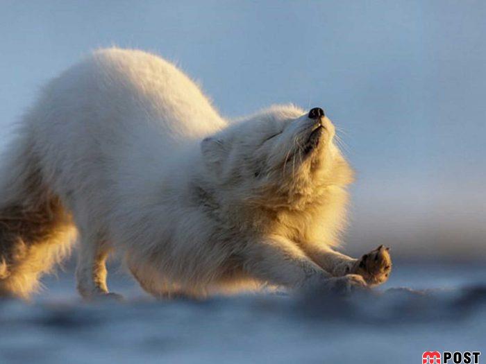 عکس های طبیعت و انسان که در مسابقه عکاسی انتخاب شدند 5 عکس های طبیت