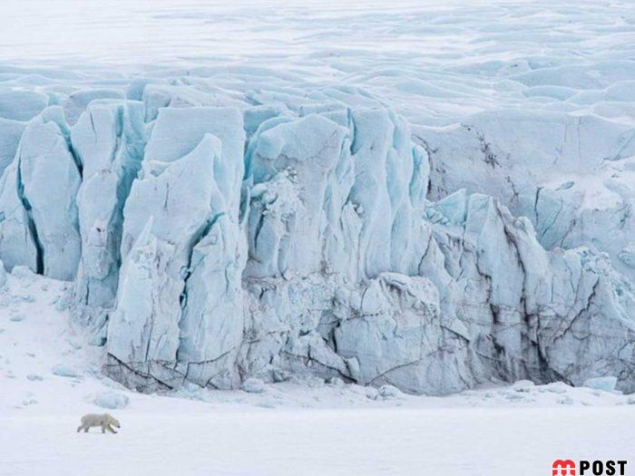 عکس های طبیعت و انسان که در مسابقه عکاسی انتخاب شدند 14 عکس های طبیت