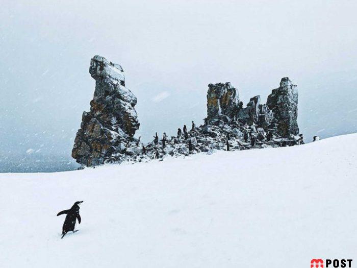 عکس های طبیعت و انسان که در مسابقه عکاسی انتخاب شدند 25 عکس های طبیت