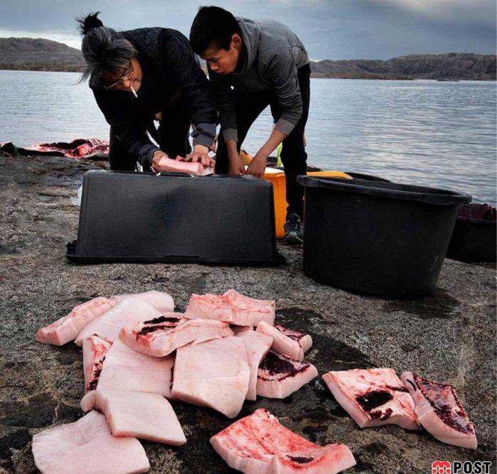 عکس های طبیعت و انسان که در مسابقه عکاسی انتخاب شدند 27 عکس های طبیت