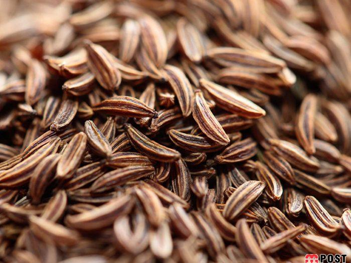 خواص زیره و کاربردهای آن برای سلامتی و تقویت سیستم ایمنی بدن 3 خواص زیره