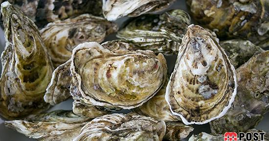 گران ترین غذاهای دنیا از چه مواد اولیه ای تشکیل شده اند؟ 2 گران ترین غذاهای دنیا