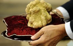 گران ترین غذاهای دنیا