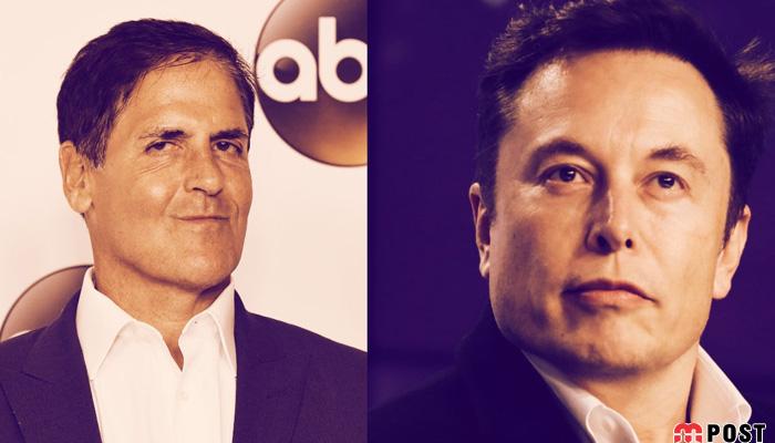 اوج گیری دوج کوین از کجا شروع شد و چرا تا این اندازه حامی دارد؟ 4 اوج گیری دوج کوین