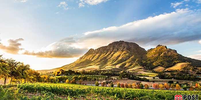 سفر به آفریقا و آنگولا مسیری بسیار زیبا در یکی از نقاط دنیا 9 سفر به آفریقا