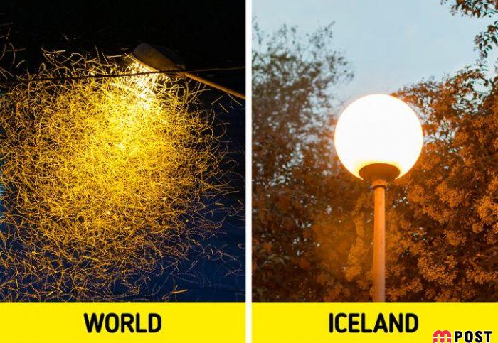 چند حقیقت جالب که مختص زندگی در کشور ایسلند است 8 زندگی در کشور ایسلند