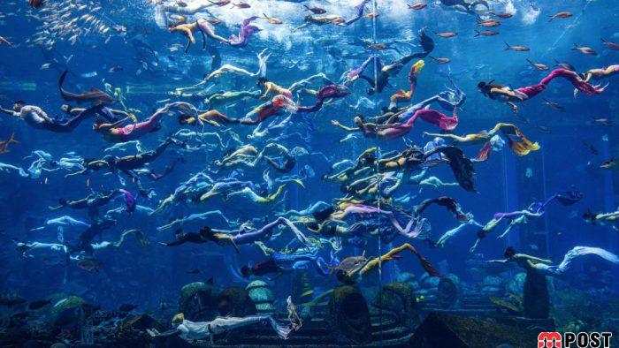 جدیدترین تفریح آبی کشور چین با نام «شیرجه آزاد به سبک پری دریایی» 4 جدیدترین تفریح آبی