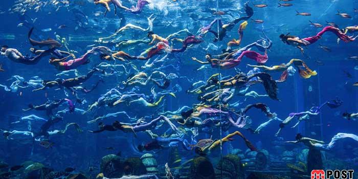 جدیدترین تفریح آبی کشور چین با نام «شیرجه آزاد به سبک پری دریایی» 10 جدیدترین تفریح آبی