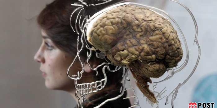 ۷ کار ساده ای که به تغییر تصمیم گیری بهتر مغز به سمت زندگی سالم کمک می کند 8 تغییر مغز