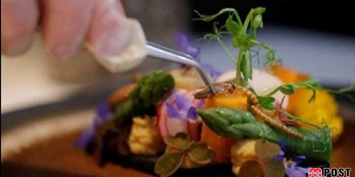 خوردن کرم های غذایی در منوی غذایی اتحادیه اروپا + عکس 3 خوردن کرم های غذایی